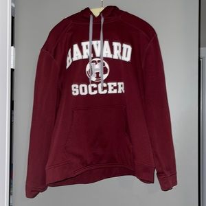 Burgundy Harvard Champion Hoodie